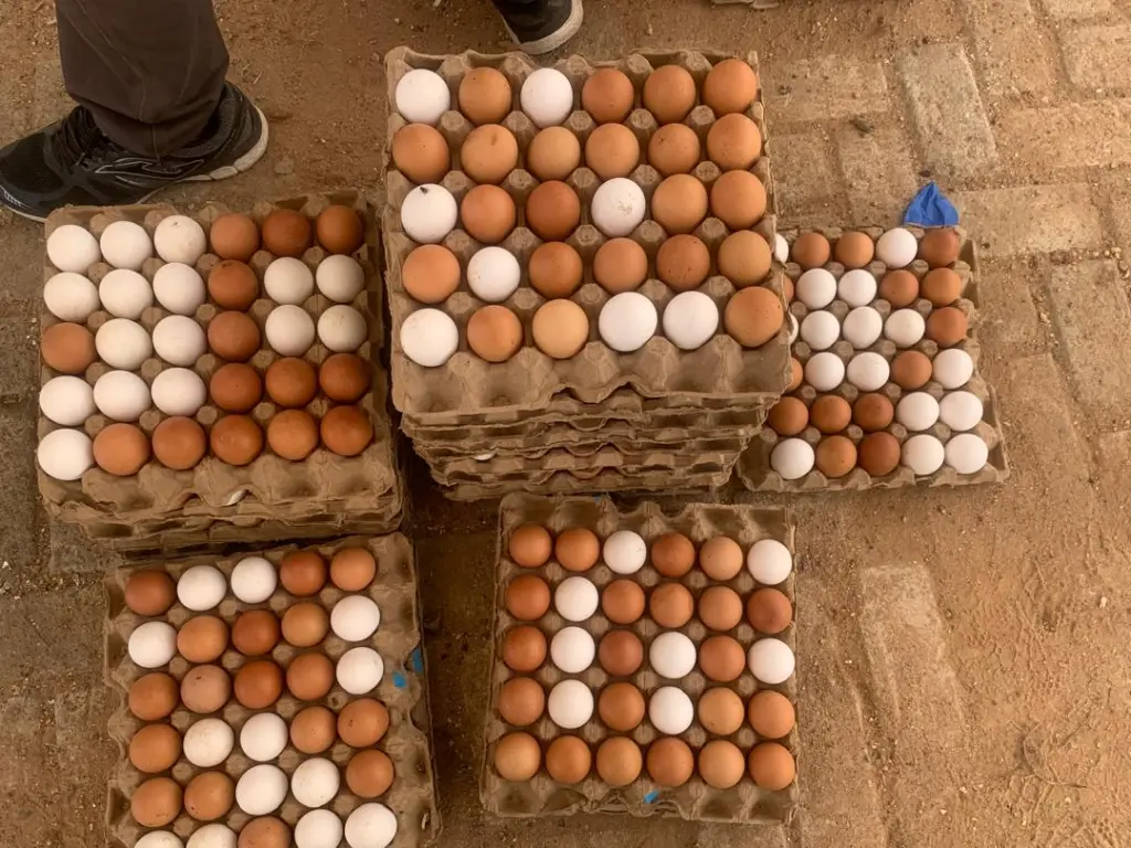 MGL's May Day Egg market ends in resounding success as crowds turn out for affordable eggs