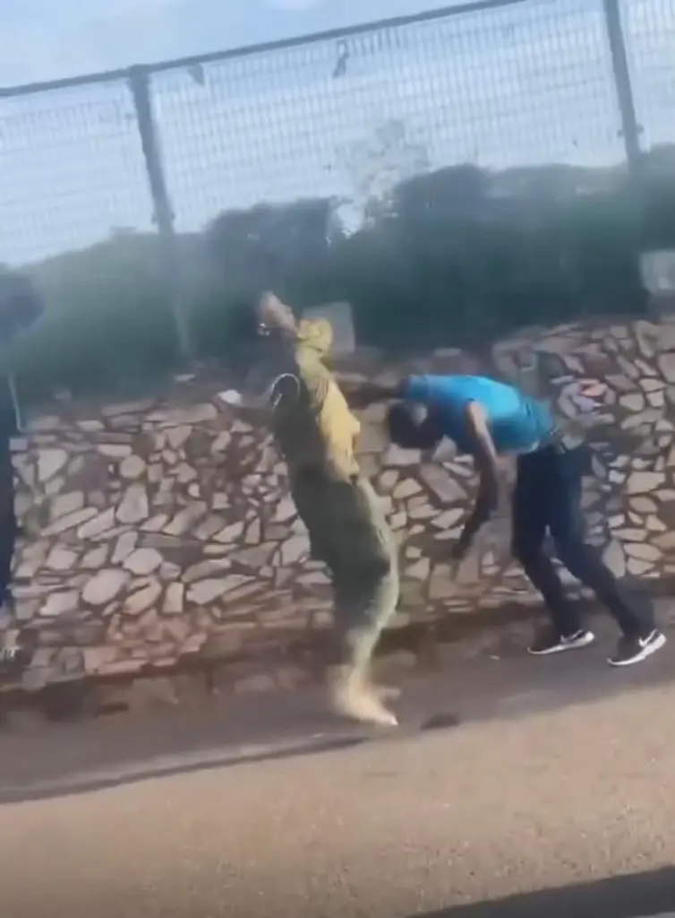 Police arrest University of Ghana security guard over viral assault video