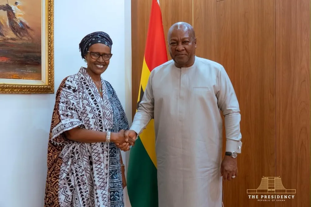 President Mahama discusses health-related matters with top UN officials