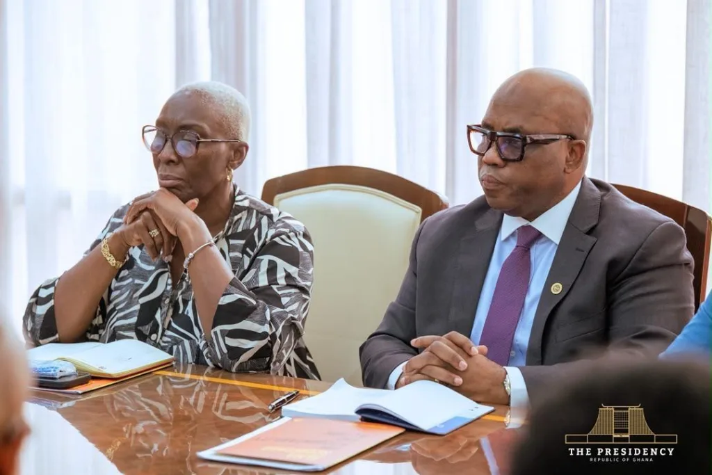 President Mahama discusses health-related matters with top UN officials