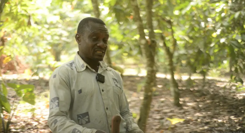 Climate Evidence: Agriculture insurance as lifeline for Ghana’s climate-hit farmers Climate Evidence: Agriculture insurance as lifeline for Ghana’s climate-hit farmers