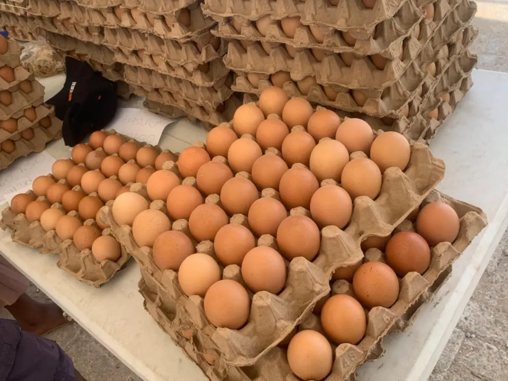MGL's May Day Egg market ends in resounding success as crowds turn out for affordable eggs