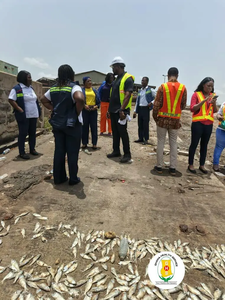 Ghana Health Service responds to dead fish incident at Tema Port
