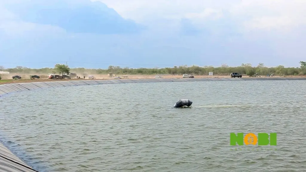Mahama tours Nobi Agriculture Project in Afram Plains