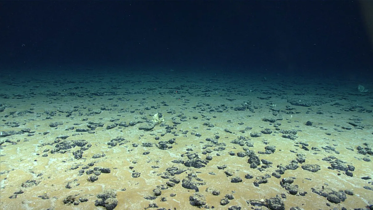seafloor-hires