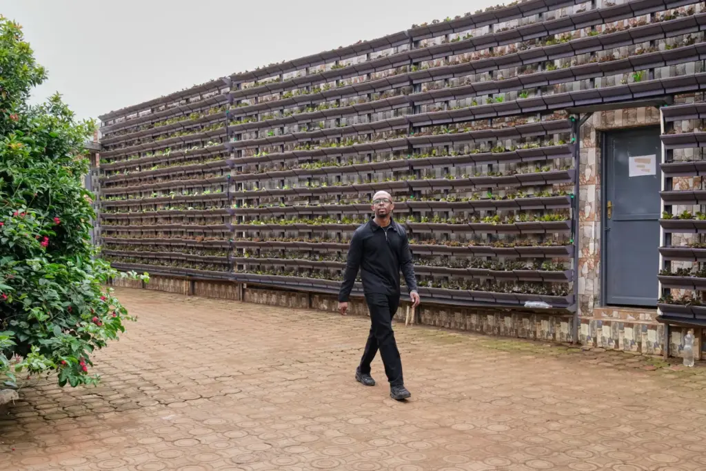 Rwanda's capital embraces urban farming as development squeezes rare land