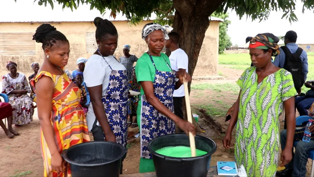 From unsafe sanitation to thriving businesses: How SNV is changing lives in Nandom
