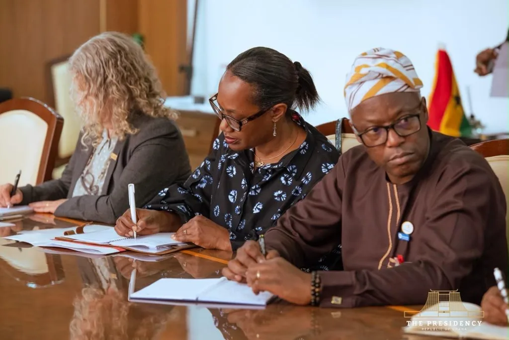 President Mahama discusses health-related matters with top UN officials
