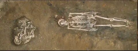Dogs became man's best friend far earlier than thought, scientists find Lars Larsson. Two complete skeletons lie side by side in a shallow grave: a human stretched out on its back and, close against it, a dog. A second dog skeleton lies nearby, curled on its side. The bones are light brown and clearly outlined against darker soil, with the ribs, spine, skulls and long limb bones all exposed.