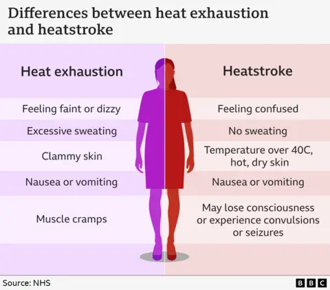 A graphic showing the differences between heat exhaustion and heatstroke. Heat exhaustion symptoms are listed as: feeling faint or dizzy; excessive sweating; clammy skin; nausea or vomiting, and muscle cramps. Heatstroke symptoms are: feeling confused; not sweating; a body temperature above 40C with hot with dry skin; nausea or vomiting; may lose consciousness or experience convulsions or seizures.