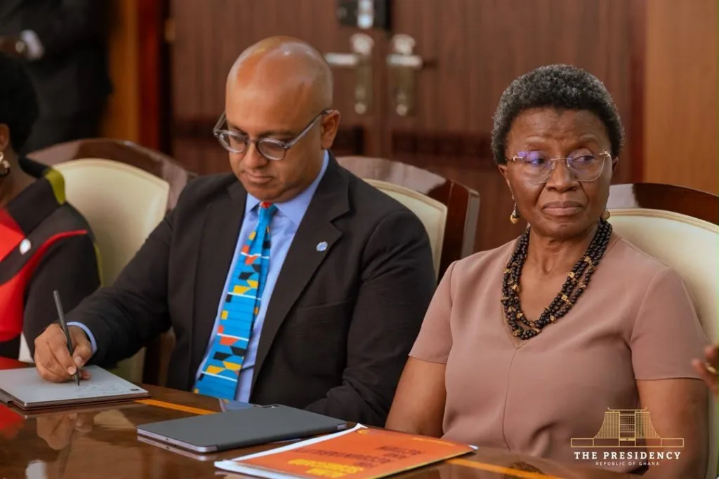 President Mahama discusses health-related matters with top UN officials