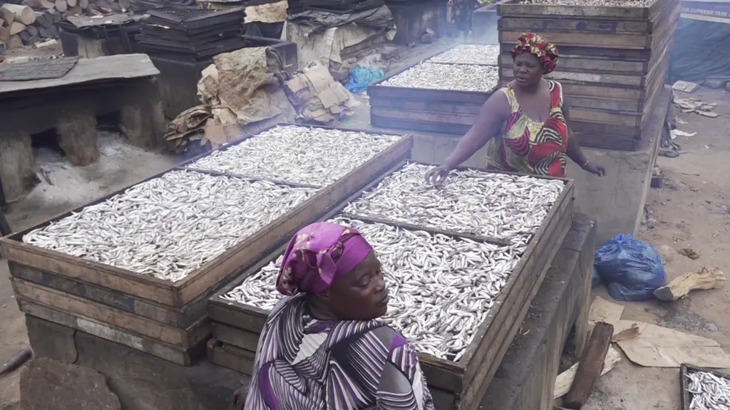 Climate Evidence: Chorkor fishmongers trapped between livelihood and harmful smoke exposure Climate Evidence: Chorkor fishmongers trapped between livelihood and harmful smoke exposure