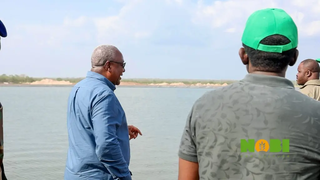 At Nobi Agriculture, scale and systems redefine farming in Ghana At Nobi Agriculture, scale and systems redefine farming in Ghana
