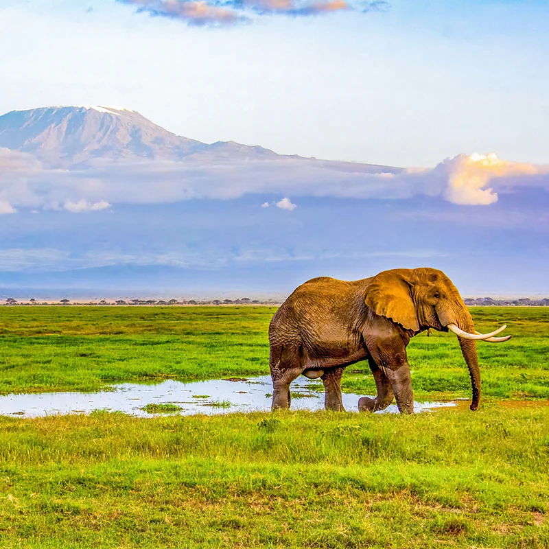 The 20 best places to travel in 2026 The 20 best places to travel in 2026