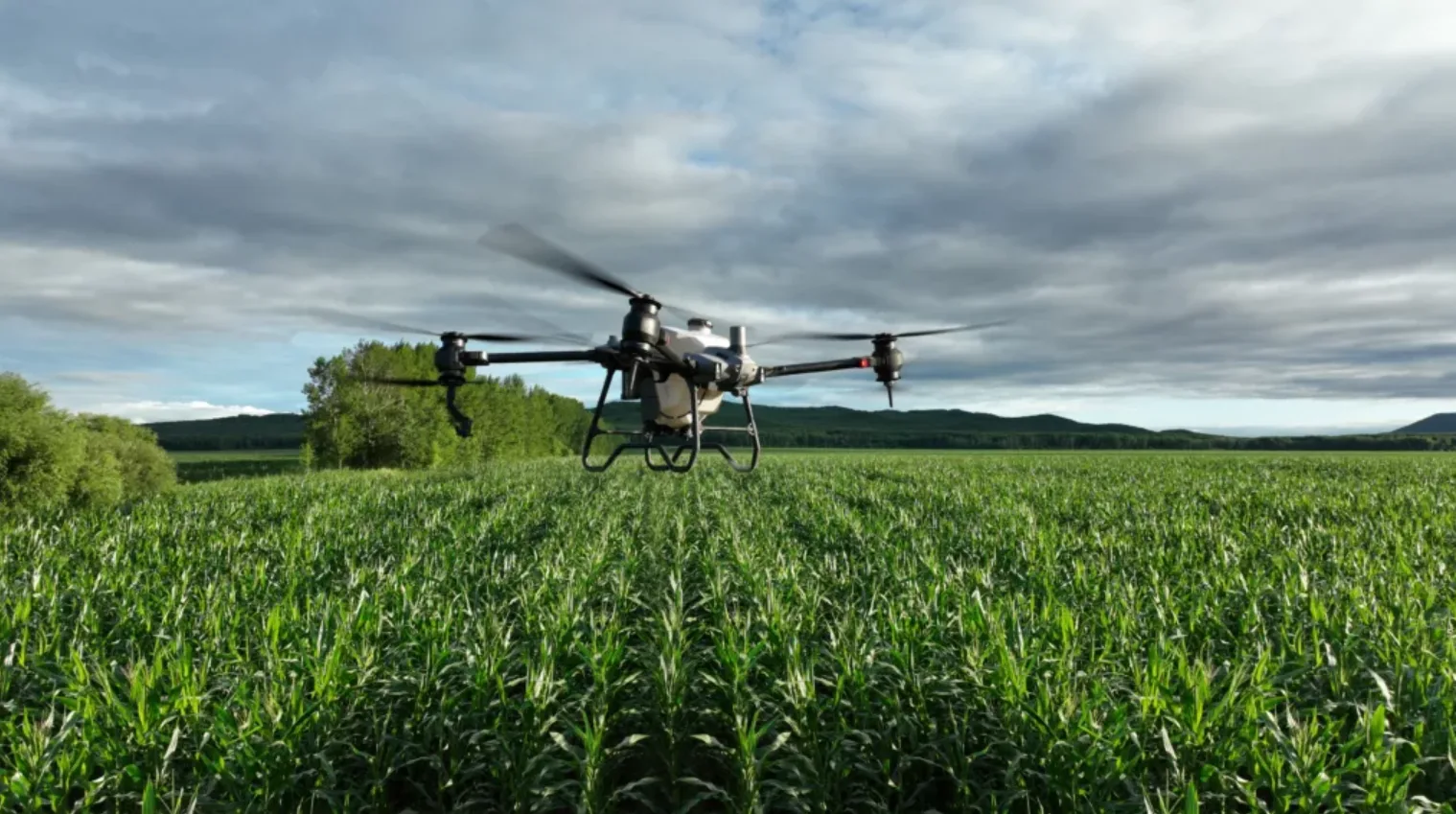 The project aimed to use AI and satellite data to monitor staple crops and deliver crop maps, forecasts, and drought-risk assessments.
