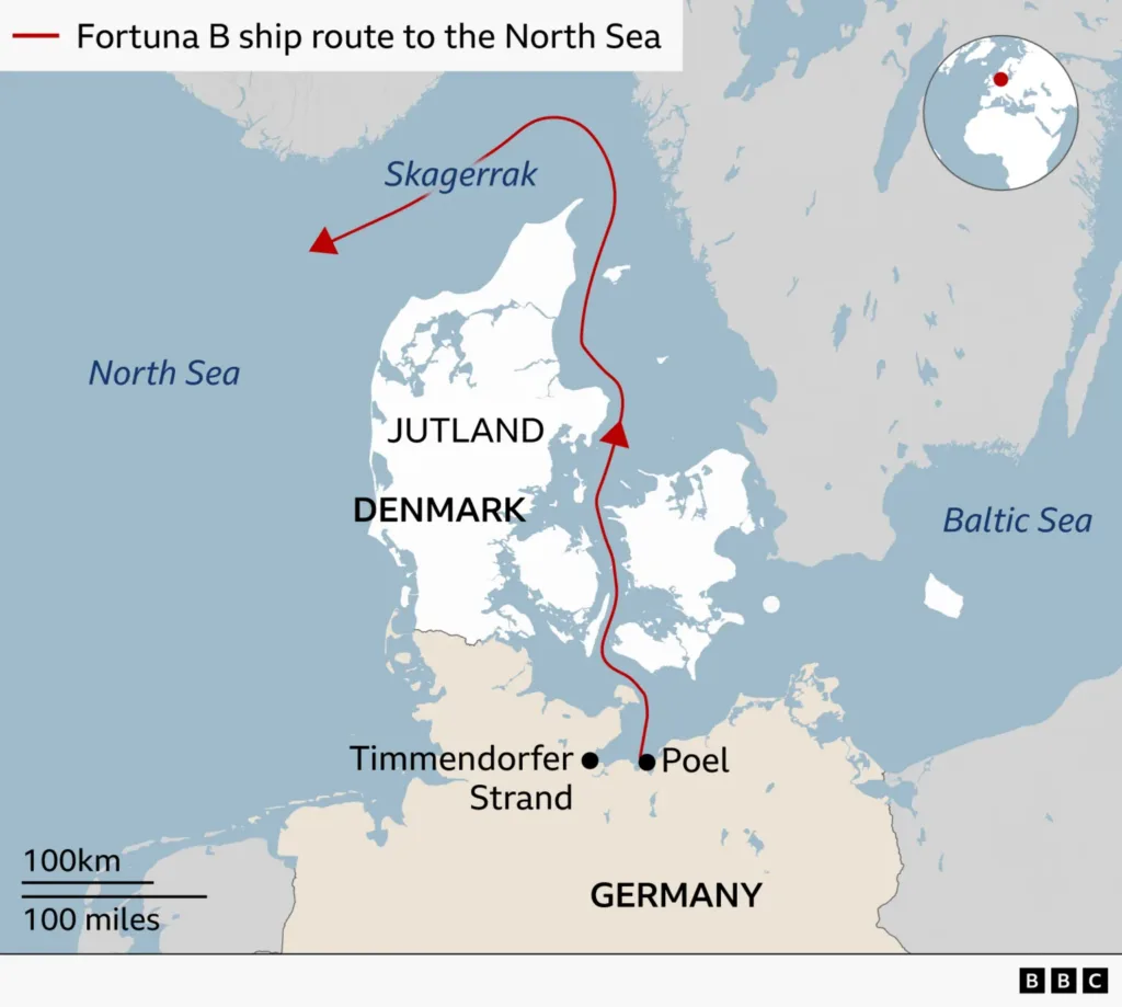 Whale found dead near Danish island after German rescue operation