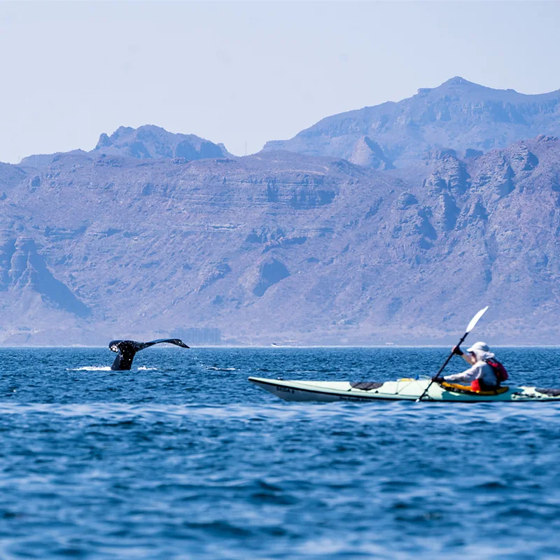 The 20 best places to travel in 2026 The 20 best places to travel in 2026