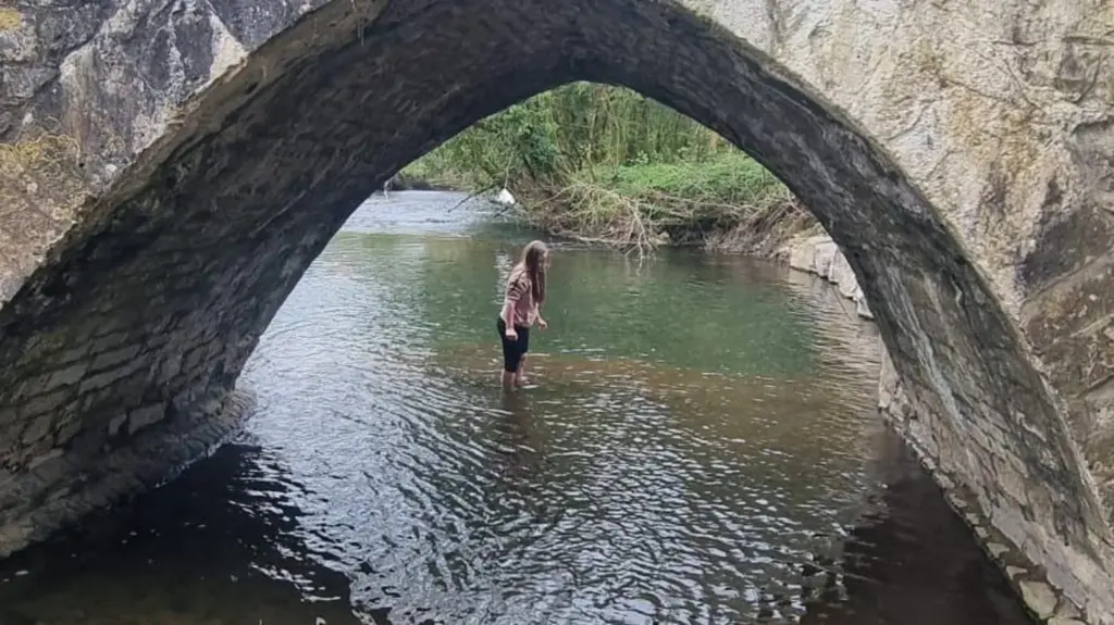 Girl, 10, finds rare Mexican axolotl under Welsh bridge