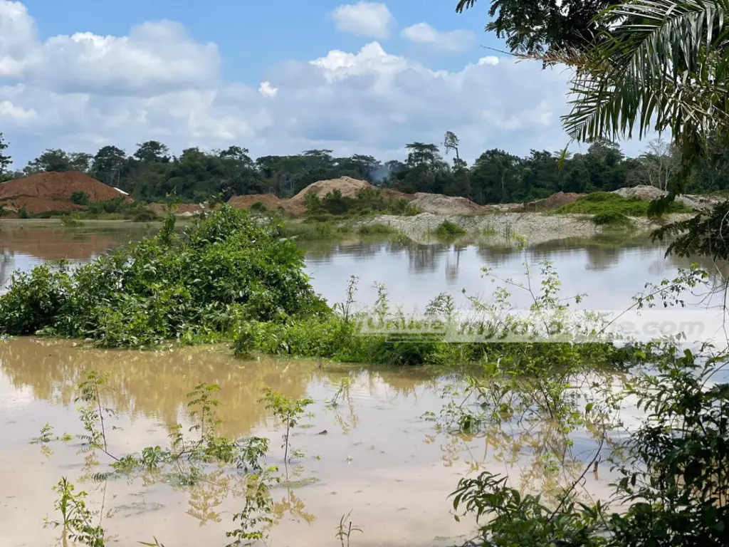 60% of our water bodies are polluted - Minority Chief Whip pushes Ecocide Law