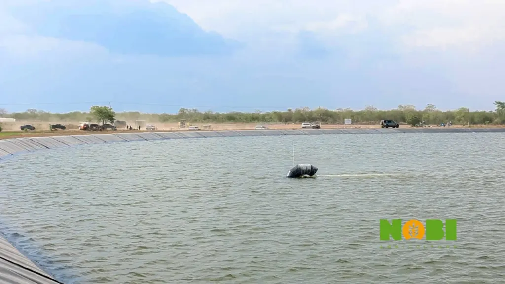 At Nobi Agriculture, scale and systems redefine farming in Ghana At Nobi Agriculture, scale and systems redefine farming in Ghana