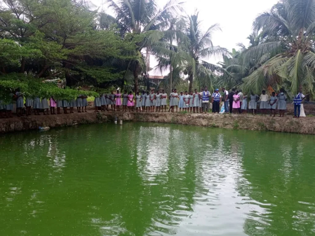Galamsey destroying fish farms, threatening aquaculture – Fisheries Commission