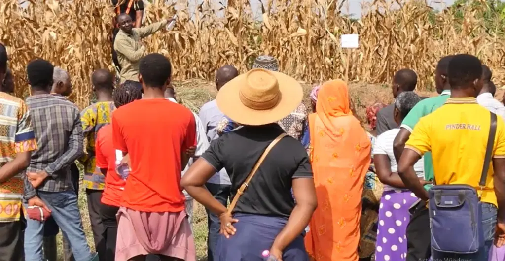 Climate Evidence: Agriculture insurance as lifeline for Ghana’s climate-hit farmers Climate Evidence: Agriculture insurance as lifeline for Ghana’s climate-hit farmers