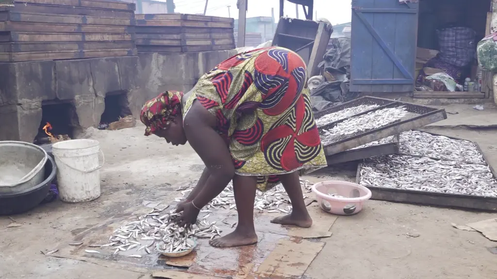 Climate Evidence: Chorkor fishmongers trapped between livelihood and harmful smoke exposure Climate Evidence: Chorkor fishmongers trapped between livelihood and harmful smoke exposure