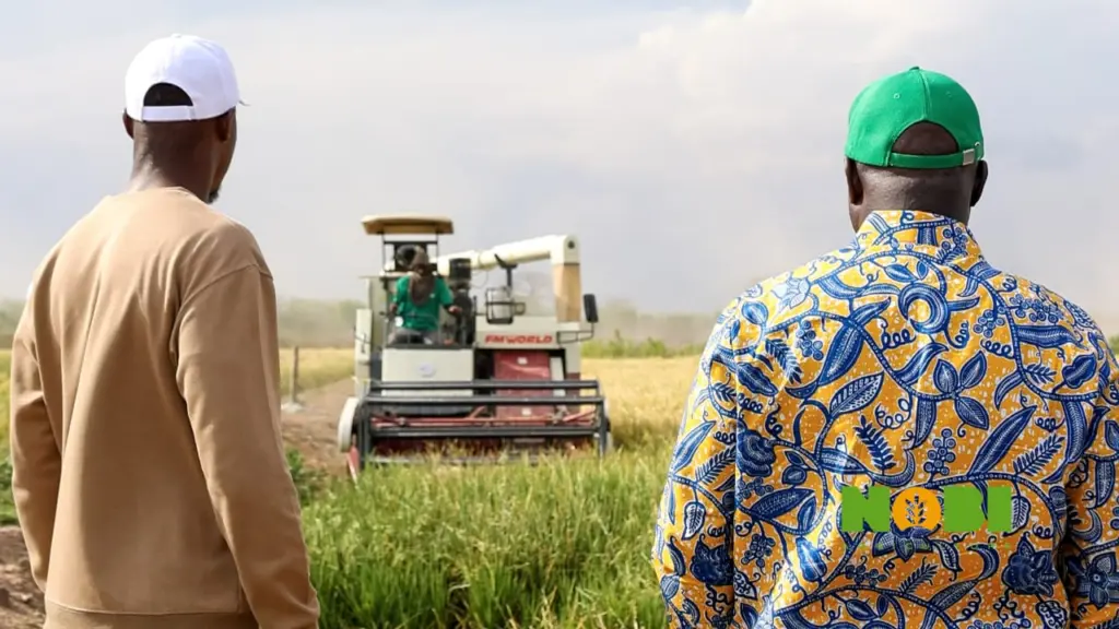 At Nobi Agriculture, scale and systems redefine farming in Ghana At Nobi Agriculture, scale and systems redefine farming in Ghana