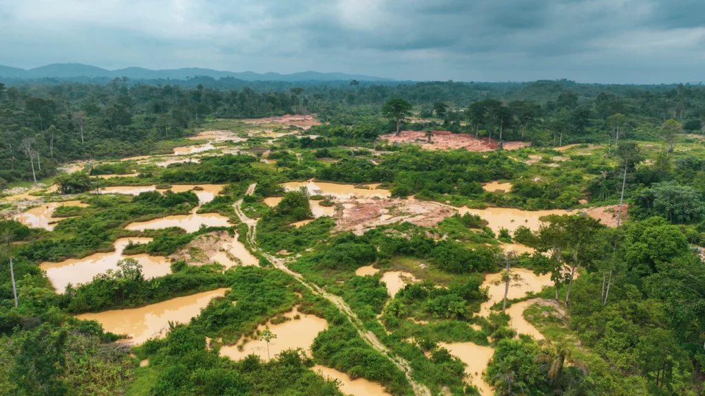 60% of our water bodies are polluted - Minority Chief Whip pushes Ecocide Law