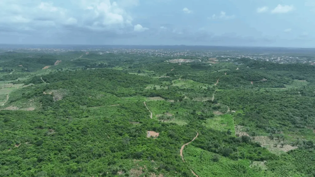 Chinese company Huayou agrees to fund Ewoyaa mine development amid Atlantic Lithium takeover talks
