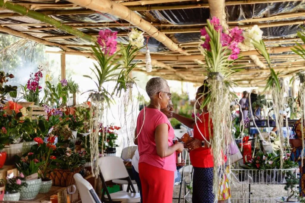 Green means Business: How Ghana's garden revolution is growing jobs, wealth and hope Green means Business: How Ghana's garden revolution is growing jobs, wealth and hope
