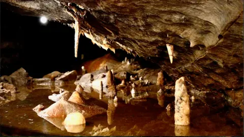 Dogs became man's best friend far earlier than thought, scientists find Kevin Church The photo shows the inside of a cave, lit with warm golden light. A low, rough rock ceiling hangs overhead, with a few thin, pointed stalactites dangling down. Below, shallow still water covers the cave floor, reflecting the ceiling and the formations like a mirror. Rising out of the water are short, jagged stalagmites and rocky mounds, some no more than a few inches high. The overall feeling is of a quiet, enclosed underground pool dotted with small stone towers and spikes.