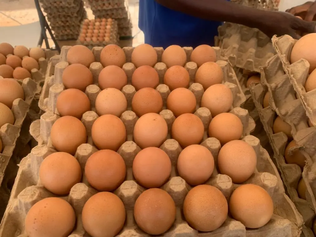 MGL's May Day Egg market ends in resounding success as crowds turn out for affordable eggs