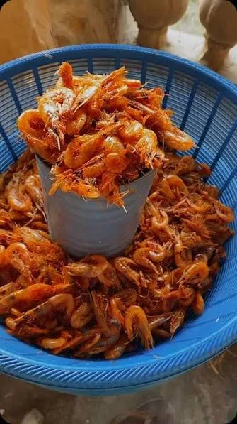 Ginger, shrimps, mangoes lead June 2026 food inflation price hikes