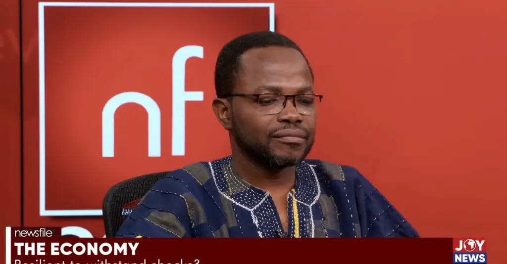 Economy shows stability but not yet resilient – Economist