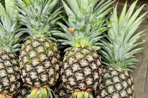 Electrician granted GH¢10,000 bail for stealing pineapples