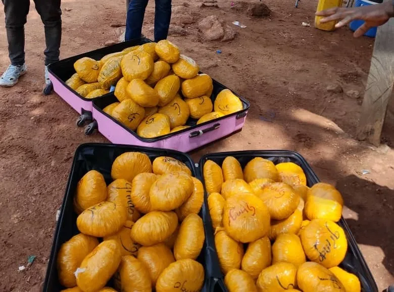 Two arrested after Bole Police seize suspected cannabis, reject alleged GH¢30,000 bribe