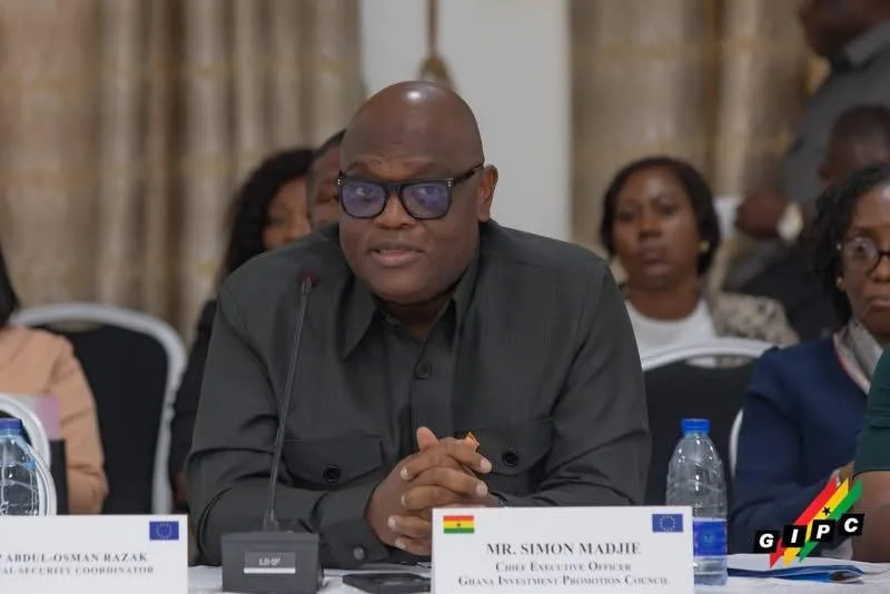 Ghana, EU seek closer cooperation on export compliance and market access