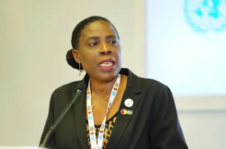 AU Commissioner calls for better pay to retain Africa’s health professionals