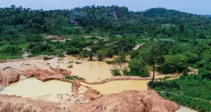 Galamsey destroys nearly 9,000 hectares of Ghana’s forest reserves — Forestry Commission