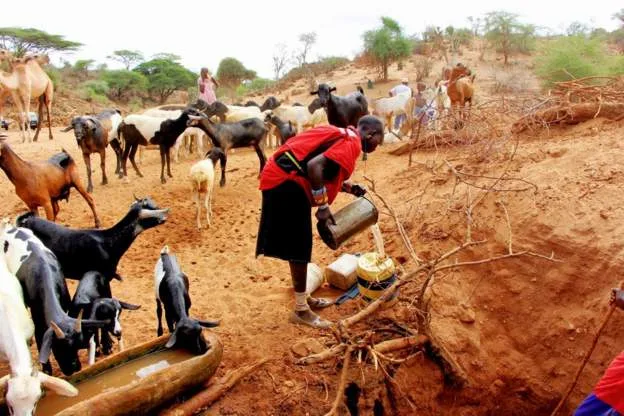 IRC warns El Niño could trigger floods, drought and disease outbreaks across East Africa and Asia