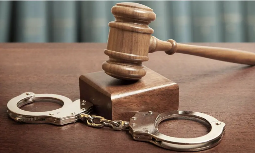 Court remands fugitive over alleged stealing, assault on elderly woman