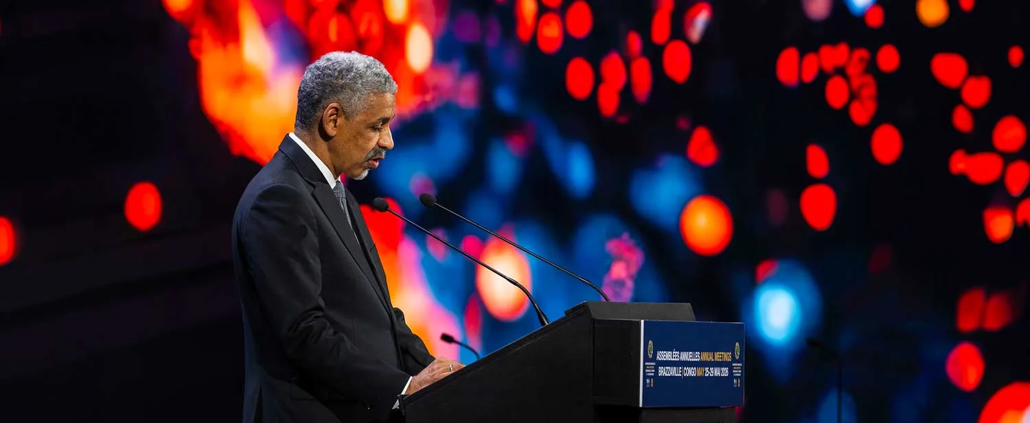 Africa must mobilise its own capital to drive transformation, AfDB chief says
