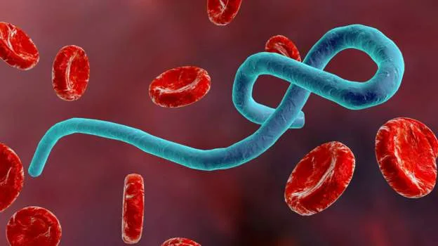 Health Ministry cautions public against spreading misinformation over Ebola outbreak in DR Congo
