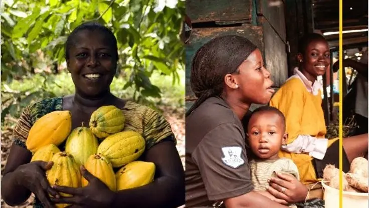 Understanding the National Determined Contributions and National Adaptation Plans and their implications for the private sector