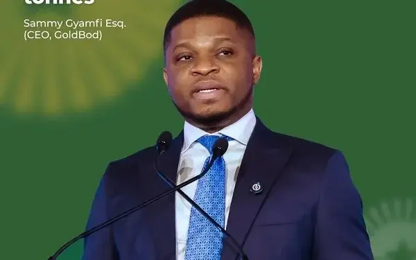 Full text: Sammy Gyamfi’s response to Afenyo-Markin’s GoldBod allegations