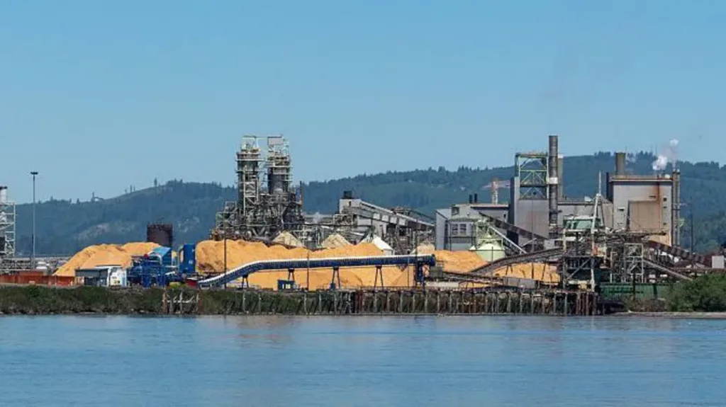 One killed and others missing after chemical explosion at US paper mill