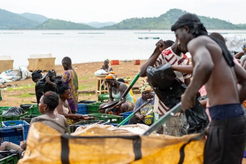 Can innovation partnerships transform Ghana’s aquaculture Sector? Inside the push for a more sustainable blue economy