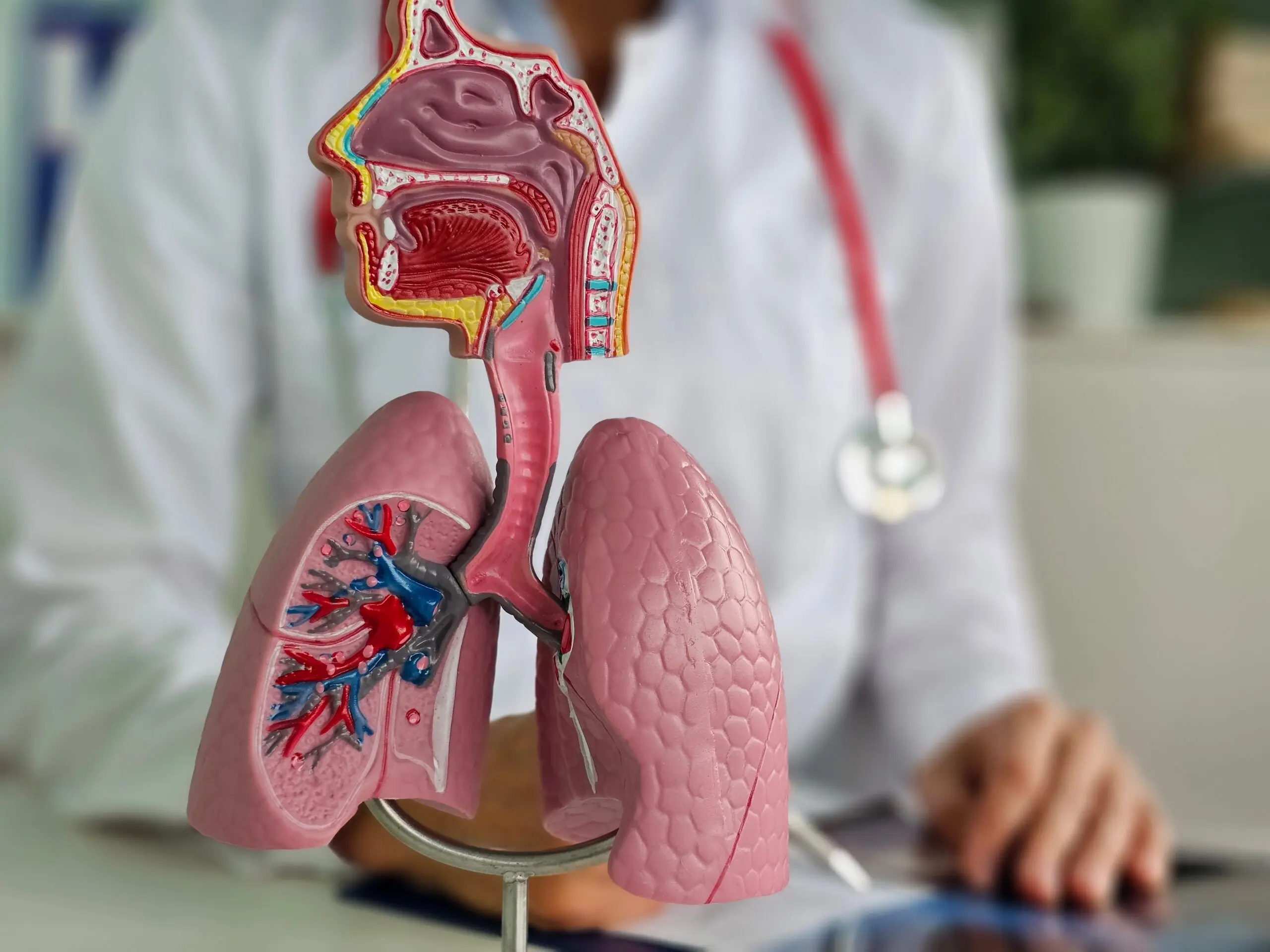 Chronic Respiratory Diseases: COPD, Asthma Claim Millions as Media Coverage Lags – WHO