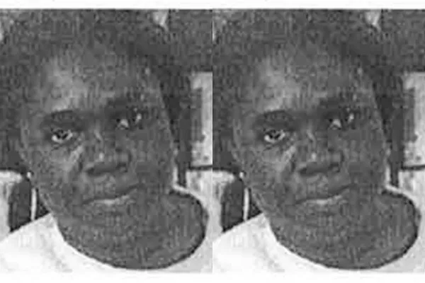 Pregnant woman and son fly home to Ghana after being detained for over a week at Washington Dulles Airport